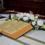 DSC_0894ujjj