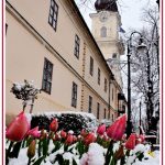 DSC_5633k_sz