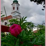 DSC_6714bk