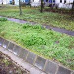 kova1