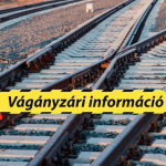 vaganyzar2