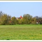 DSC_8730mm