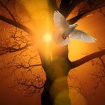 pentecost, holy spirit, christianity-5061724