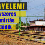 mavvegyszeres copy